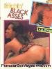 Bitchin Black Asses 2 Adult Magazine - Ebony Sexstar SAHARA