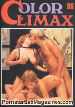 Color Climax 96 Porn magazine - Big Tits Dawn KNUDSEN